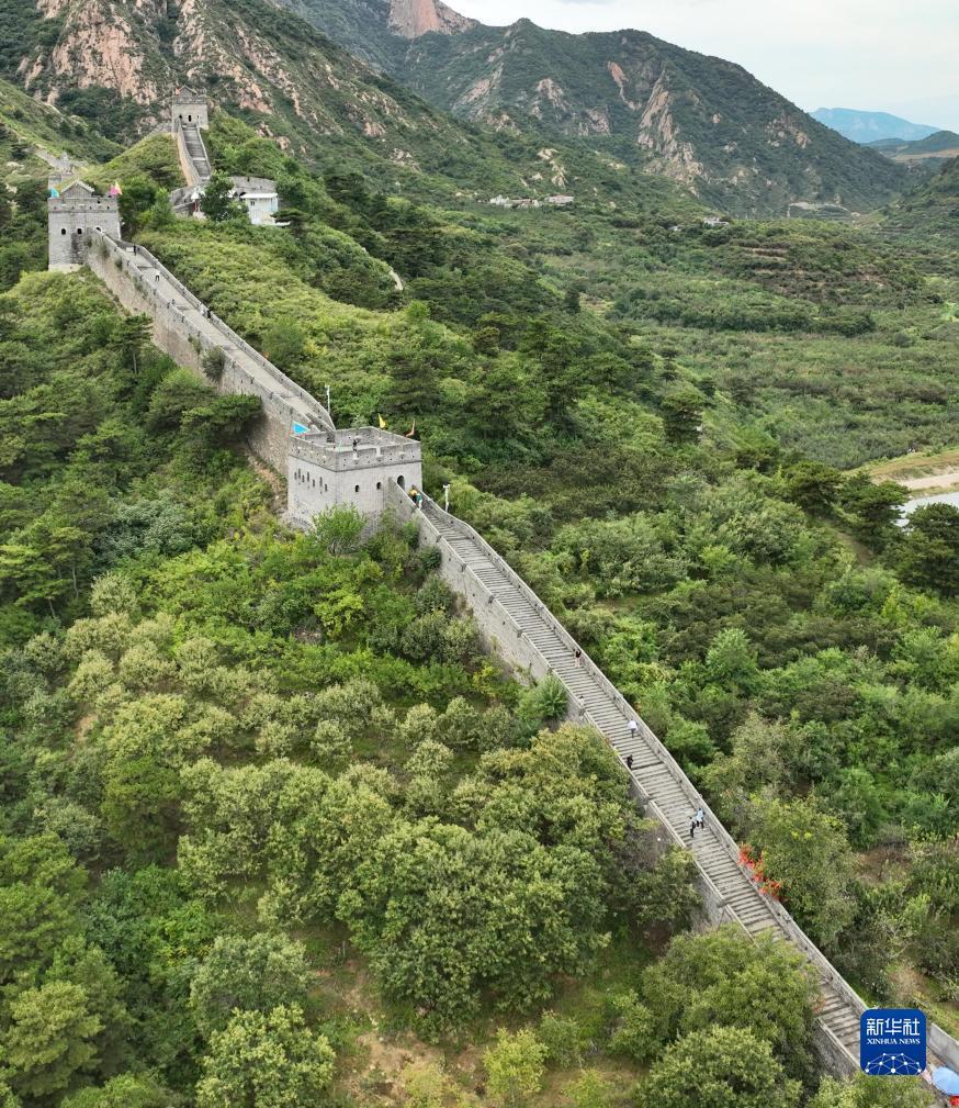 在线捕鱼游戏